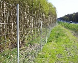 Ogrodzenie autostrady A-4 na odcinku W�ze� Wirek - W�ze� Batory